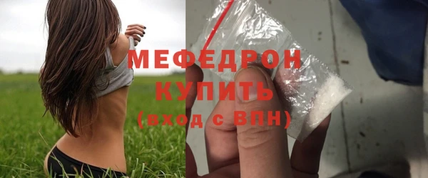 ECSTASY Пересвет