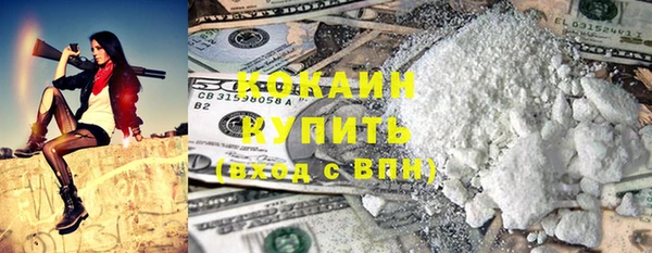 ECSTASY Пересвет