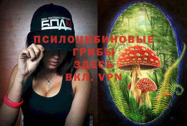 apvp Болохово