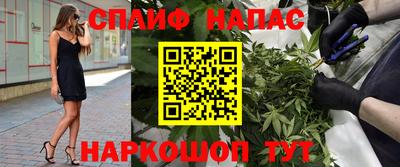 СК Балашиха