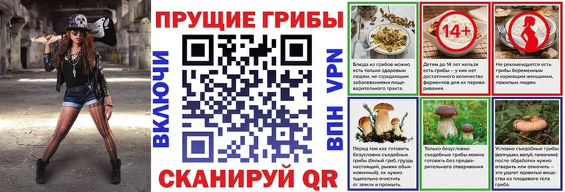 кракен Большой Камень Псилоцибиновые грибы Psilocybe