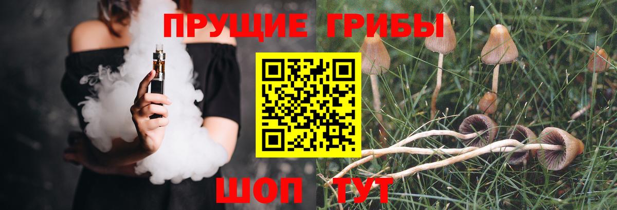 Галлюциногенные грибы Magic Shrooms  Большой Камень  Псилоцибиновые грибы Psilocybine cubensis 