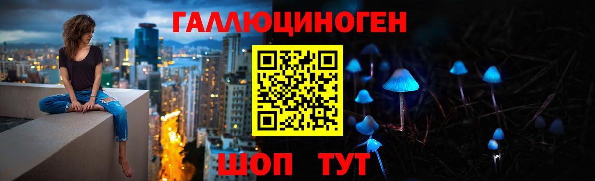 хочу наркоту  Вход с VPN  Псилоцибиновые грибы Magic Shrooms  Большой Камень  Галлюциногенные грибы GOLDEN TEACHER 